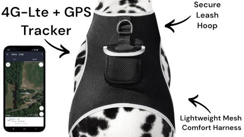 Small Portable Security Monitor Realtime Mini Waterproof Pet Tracker Size:M
