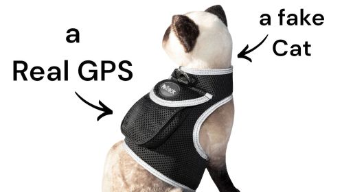 Collar Rechargeable Portable GPS Tracking Devices for Pets GSM Locator Size:XL