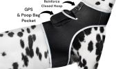 Waterproof GPS Tracking System for Dogs Realtime Pet Security Tracker Size:XL