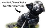 Easy Set Up GPS Dog Collar Tracking Device Waterproof Durable Tracker Size:S