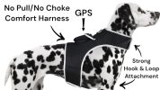 Reputable Water Resilient GPS Tag for Dogs Rechargeable Collar Mount GSM Tracker Size:M
