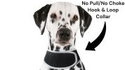 Mini Pet Spotter Waterproof Rechargeable GSM GPS Dog Collars Tracker Size:S