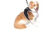 Mini GPS for Pets Tracking Rechargeable Collar Mount Portable Tracker Size:S