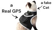 Reputable Water Resilient GPS Tag for Dogs Rechargeable Collar Mount GSM Tracker Size:M