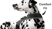 Mini Dog / Cat Collar Waterproof Realtime GPS GSM GPRS Pet Tracker NEW Size:L