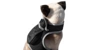 High Quality Portable Animal GPS Tracker Waterproof Collar Pet Locator Size:L