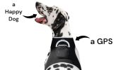 Pocket Waterproof GSM GPS Tracker Convenient Way of Locating Lost Pet Size:S