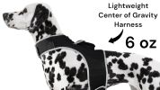 Waterproof Realtime Pet Tracking Device + Easy to Use Dog Tracker Apps Size:XS