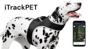 Waterproof GPS Tag Pet Tracker Realtime Security Surveillance System Size:XL