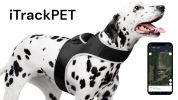 NEW Realtime Cat Dog GPS Tracker Portable Geo-Fencing Pet Tracking Sys Size:XS